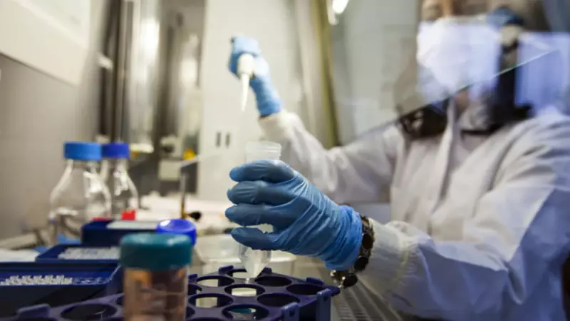 14.400 Yıllık Kurdun Midesinden Çıkanlar Bilim Dünyasını Şaşırttı