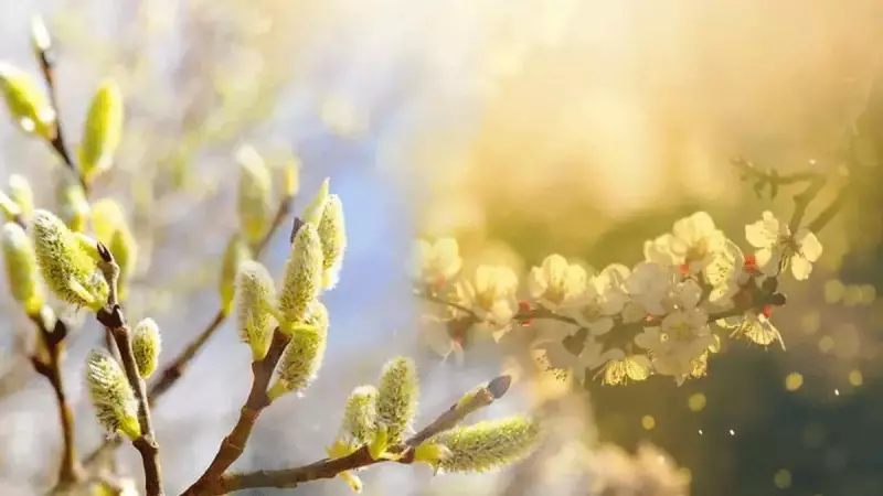 2026 Cemre Düşme Tarihleri Açıklandı: Havaya, Suya, Toprağa