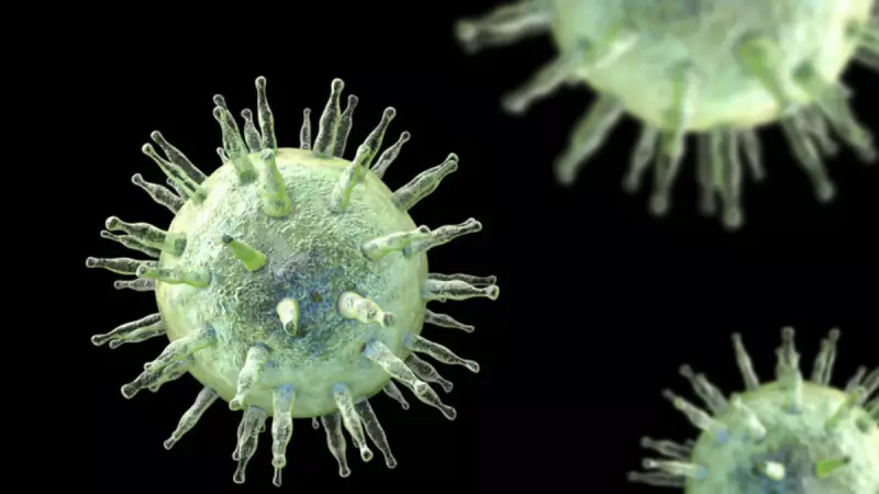 2026'da Alarm: Bilim İnsanları Üç Yeni Virüs Tehdidine Dikkat Çekiyor