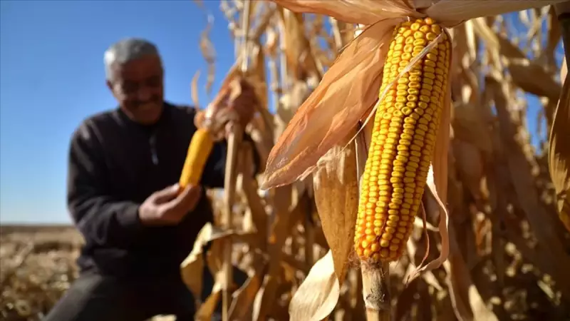 2026'da Tarımsal Desteklerde Büyük Artış: Çiftçilere Ek %25 Desteğe Hazır Olun