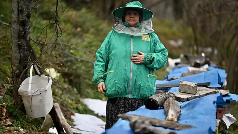 45 Yıldır Arıcılık Yapıyor: Hacer Uğurlu'nun Ata Mesleği Başarı Hikayesi