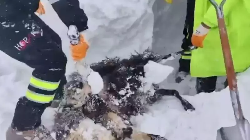 Artvin'de Çığ Faciası: 2 Çobanın İsmi Belirlendi, Arama Kurtarma Sürüyor