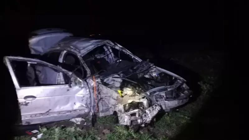 Bandırma'da Domuz Kazası: 1 Ölü, 1 Yaralı