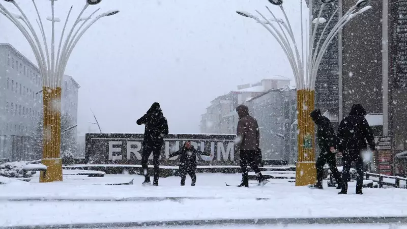 Doğu Anadolu'da Kar Yağışı: 3 İlde Okullar Tatil, 663 Yola Ulaşılamıyor