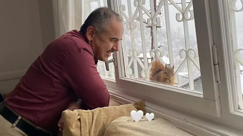 Erzincan'da Sincaplar Kışı Pencerede Geçiriyor: İnsan Şefkatiyle Hayatta Kalıyorlar