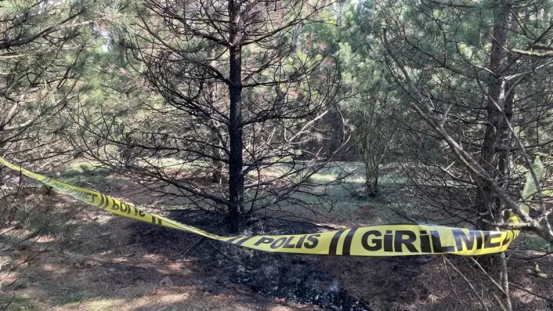 Eskişehir'de Sevgilisini Boğup Cesedini İki Kez Yaktı: Sanık İlk Duruşmada İtiraf Etti