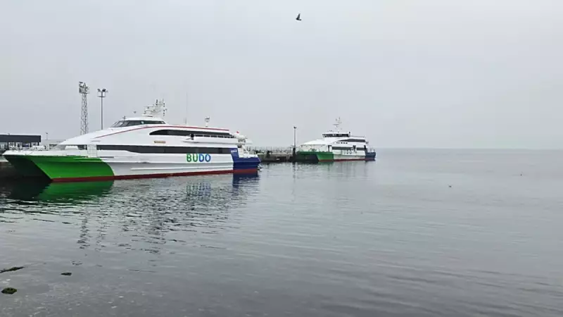 Fırtına Deniz Ulaşımını Felç Etti: BUDO'dan 4 Ocak'ta Çok Sayıda Sefer İptali