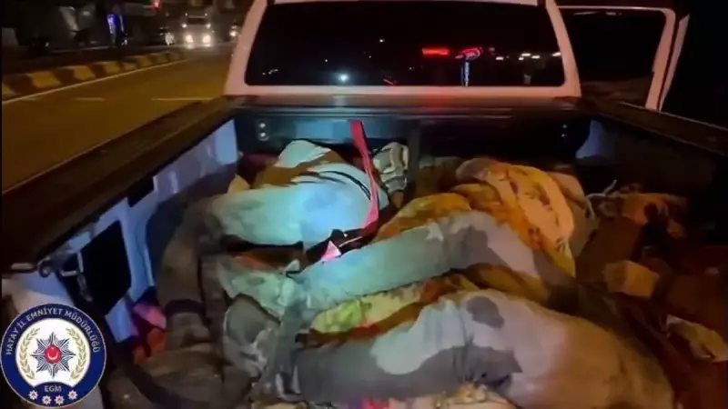 Hatay'da Göçmen Kaçakçılığı Operasyonu: 8 Göçmen Yakalandı, 2 Organizatör Tutuklandı