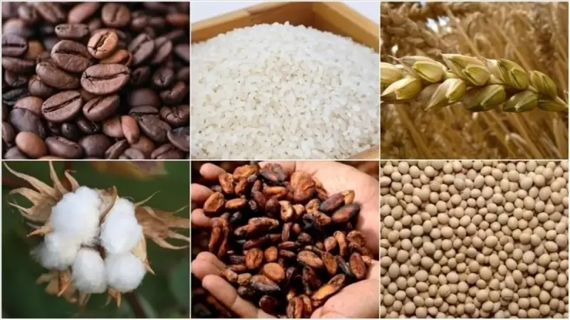 Jeopolitik Riskler ve Veriler Emtia Piyasalarını Şekillendirdi