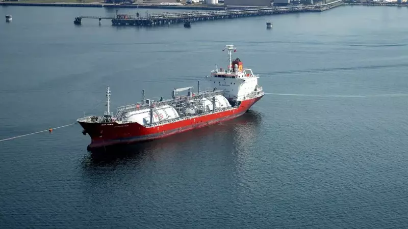 Kasım'da LPG İthalatı Yüzde 14,2 Azaldı: 288 Bin 528 Tona Geriledi