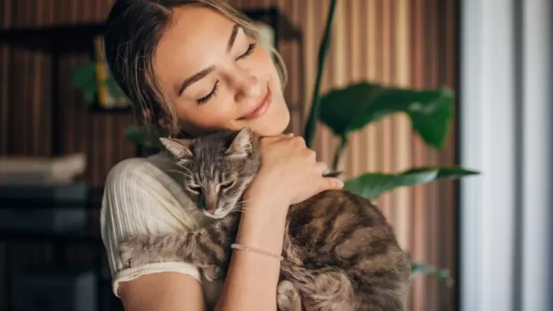 Kediler Favori İnsanını Nasıl Seçer? İşte 3 Şaşırtıcı Kriter