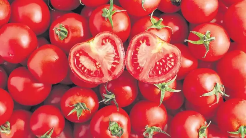 Likopenin Sağlığa 5 Önemli Faydası: Kırmızı Sihirli Molekül