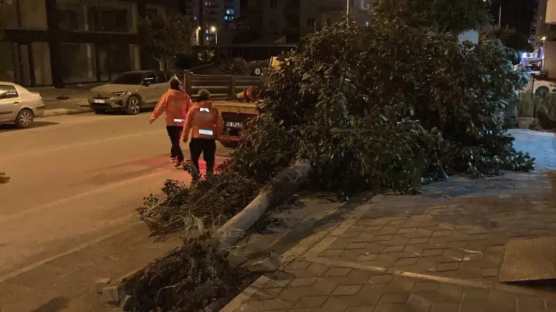 Mersin'de Fırtına Kabusu: Kökünden Sökülen Ağaçlar Kaldırıma Devrildi!