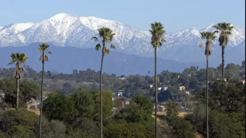 Mount Baldy'de Trajedi: 3 Yürüyüşçü Yüksek İrtifada Ölü Bulundu
