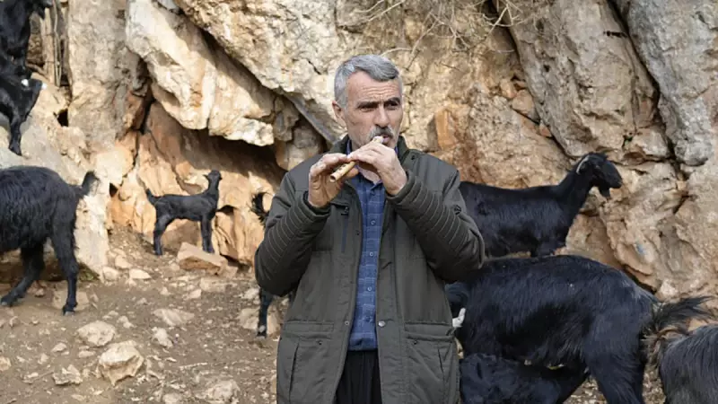 Osmaniye'de 50 Yıldır Kavalıyla Sürüsünü Yöneten Çoban Turgut Göker