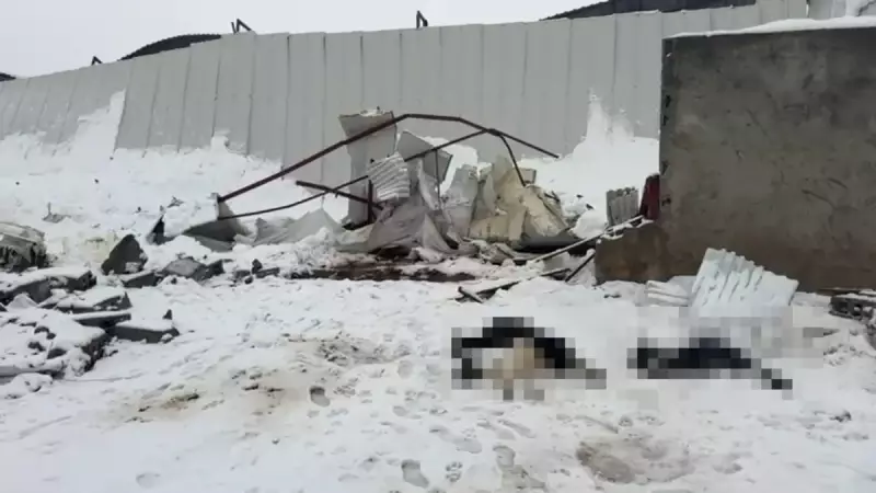 Siirt'te Kar Yükü 3 Ahırı Yıktı: Çok Sayıda Hayvan Can Verdi