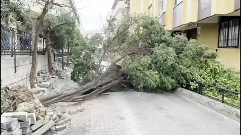 İstanbul'da Fırtına Felaketi: 350 İhbar, Boğaz Kapandı, 97 Uçuş İptal