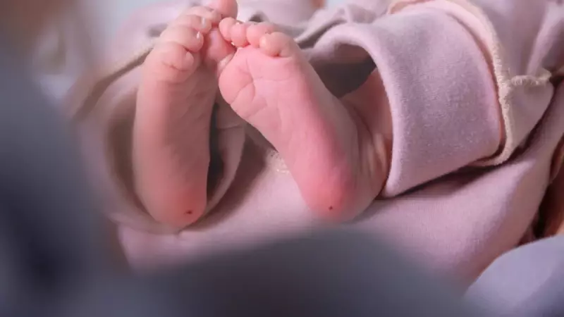 Topuk Kanı Testi: Yenidoğanlar İçin Hayati Koruma Kalkanı