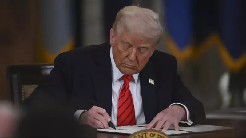 Trump Fentanili 'Kitle İmha Silahı' İlan Etti: Yılda 300 Bin Ölüm