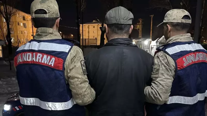 Tunceli'de Yeni Doğan Köpek Yavrusunu Kar Üstüne Bırakıp Fotoğraf Çeken Kişi Tutuklandı