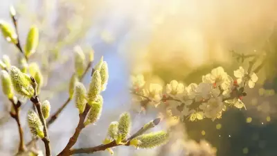 2026 Cemre Düşme Tarihleri Açıklandı: Havaya, Suya, Toprağa