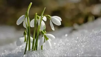 2026 Cemre Düşme Tarihleri Açıklandı: Havaya, Suya ve Toprağa Ne Zaman Düşecek?