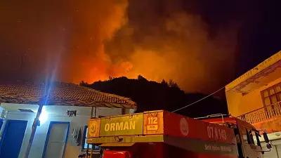 Antalya Serik'te Orman Yangını: Ekipler Müdahale Ediyor, Yaşlı Çift Tahliye Edildi