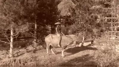 Avrupa'nın İnsan Hayvanat Bahçeleri: 19. Yüzyılın Karanlık Utanç Müzesi