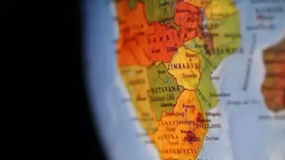 BM Raporu: Afrika Ekonomileri 2026'da Büyüme Trendine Geçecek