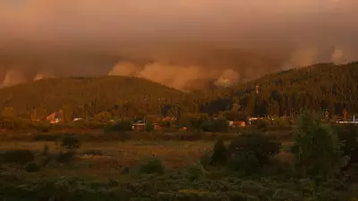 Şili'de Orman Yangını Faciası: 18 Can Kaybı, 18 Bin Hektar Kül Oldu