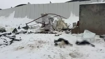 Siirt'te Kar Yükü 3 Ahırı Yıktı: Çok Sayıda Hayvan Can Verdi