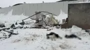 Siirt'te Kar Yükü 3 Ahırı Yıktı: Çok Sayıda Hayvan Can Verdi