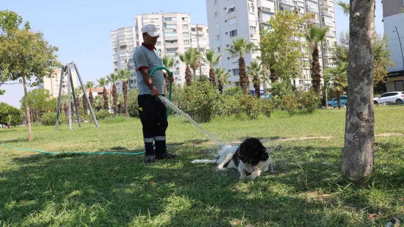 Üç Bacaklı Köpeğin ve Temizlik İşçisinin Dostluğu Sosyal Medyayı Salladı!
