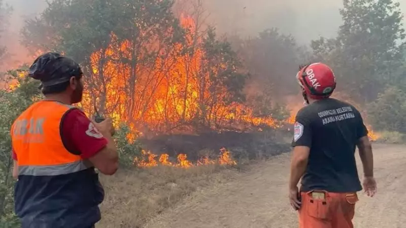 10 Şehit Verdiğimiz Orman Yangınında Flaş Gelişme: Soruşturma Başlatıldı!