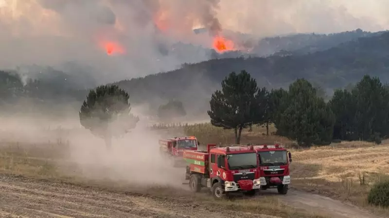 10 Orman Görevlisi Şehit Oldu: Cumhurbaşkanı Erdoğan'dan Yürek Burkan Taziye Mesajı