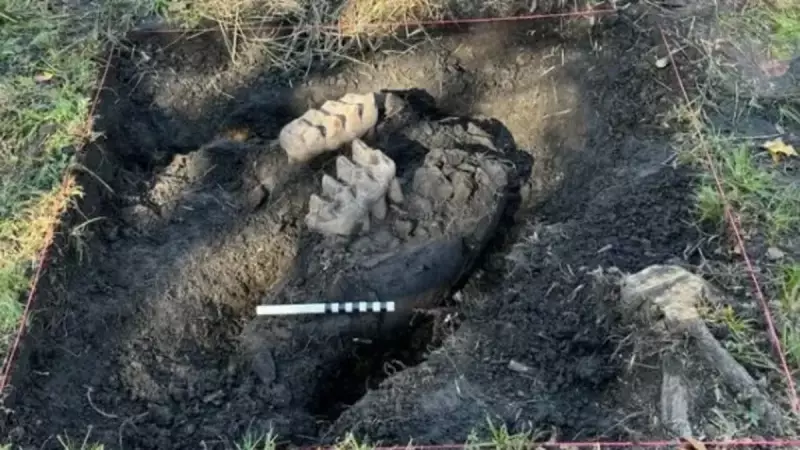 11 Bin Yıllık Hazinenin Şaşırtıcı Keşfi: Bahçesinde Saklıydı!