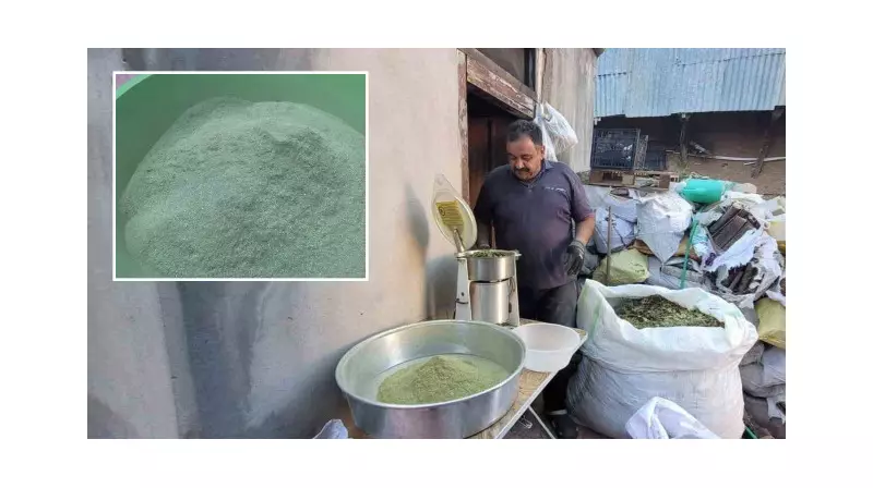 120 Bitki Karışımıyla Şifa Dağıtan Zetrin: Doğanın Gizli Formülü!