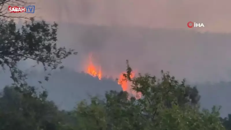14 Temmuz 2025 Milli Piyango On Numara Çekiliş Sonuçları Açıklandı! Şanslı Numaraları Öğrenmek İçin Tıkla