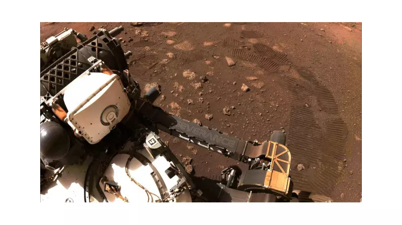 15 Temmuz Kahramanları: İki Evlat, Tek Destan ve Ahiretteki Hesap