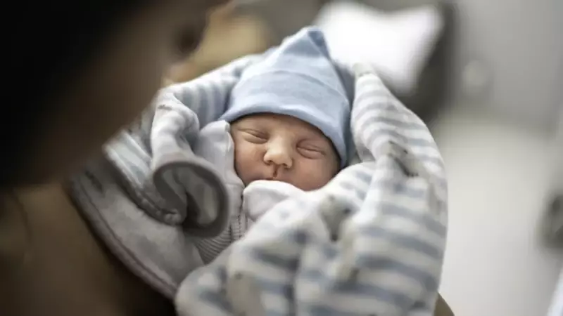 2025 Doğum Yardımı Ödemeleri Yattı mı? E-Devlet Üzerinden Başvuru ve Sorgulama Rehberi