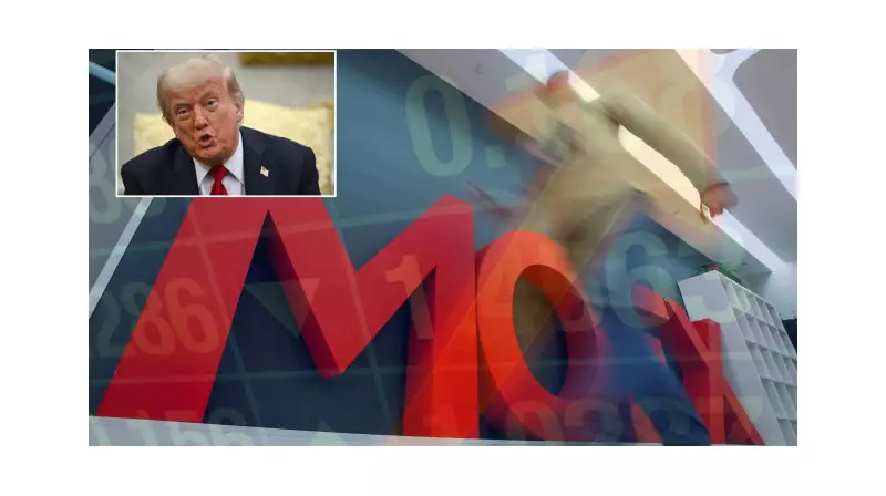 2025 Kamu Personel Alımları Başlıyor: Hangi Kadrolar Açılacak, Başvuru Şartları Neler?