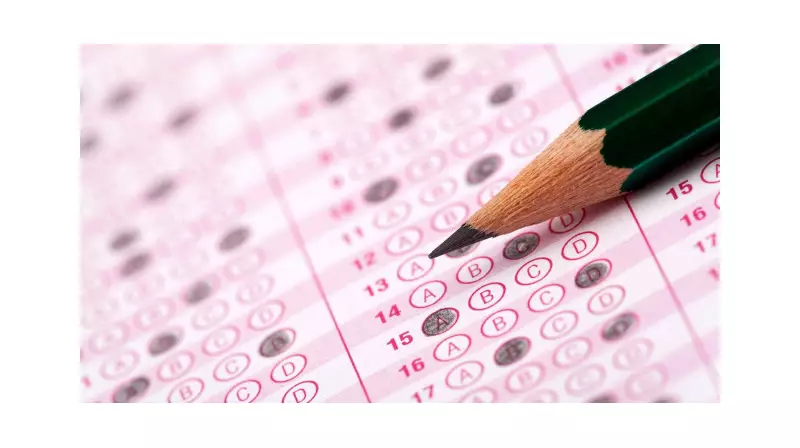 2025 YDS Sonuçları Açıklandı! İngilizce Cevap Kağıtları Görüntüleme Ekranına Nasıl Ulaşılır?