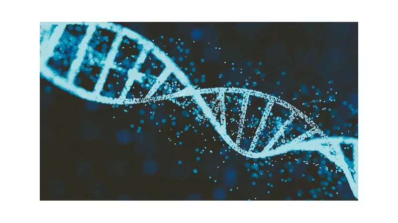 24 Milyon Yıllık Fosilden Protein Çıkarıldı: Bilim Dünyasını Sarsan Keşif!