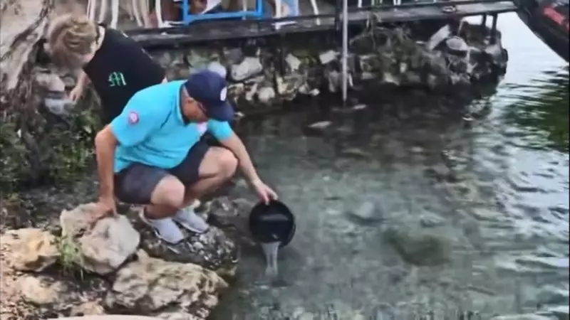 35 Bin Levrek Yavrusuyla Kadın Azmi: Balıkçılıkta Bir Başarı Hikayesi