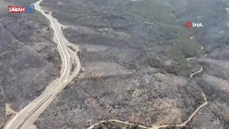 5 Gün Süren Yangın Faciası: Kontrol Altına Alındı, Ancak Geride Yürek Burkan Manzaralar Kaldı!