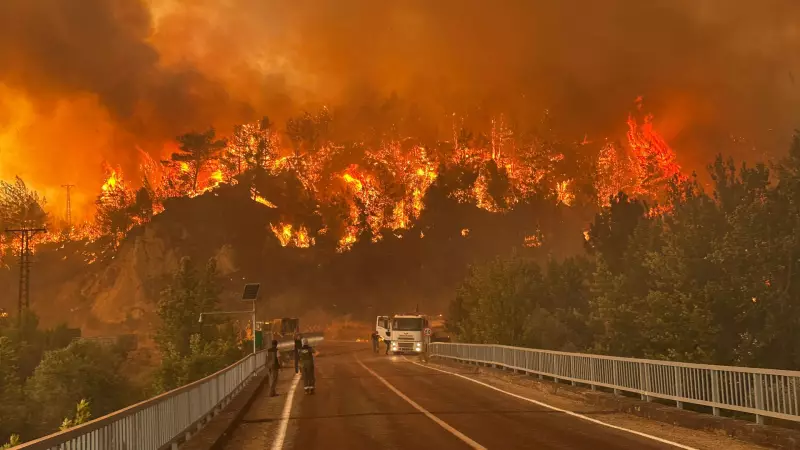6 İlde Alevlerle Mücadele: Orman Yangınlarına Havadan ve Karadan Müdahale Ediliyor!