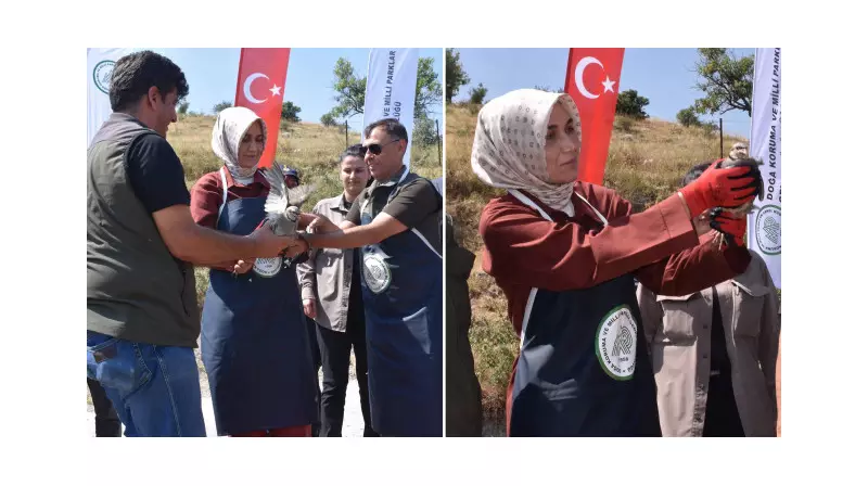 Afyonkarahisar'da Doğaya 1000 Kınalı Keklik Salındı: Tabiatın Dengesi İçin Önemli Adım!