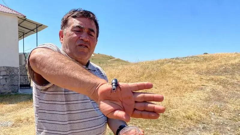 Ahmet Özer: Barış ve Refah İçin Adımlar Atılmalı!