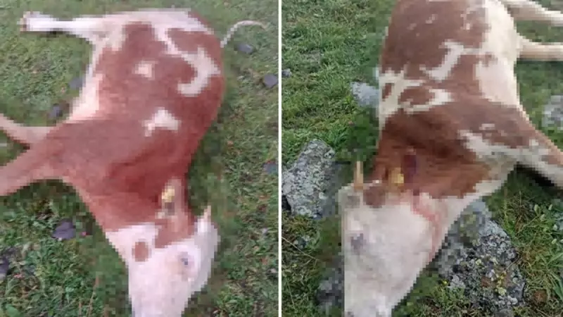 Ahmet Özer İkinci Kez Mahkeme Önünde: Savunmasını Yapacak