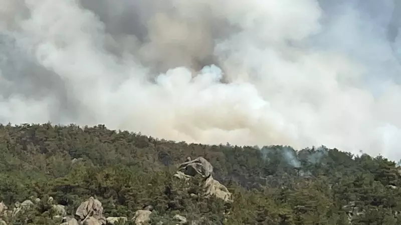 Alev Kuşağında 3 Bin Kahraman: Orman Yangınlarıyla Mücadelede Destan Yazıyorlar!